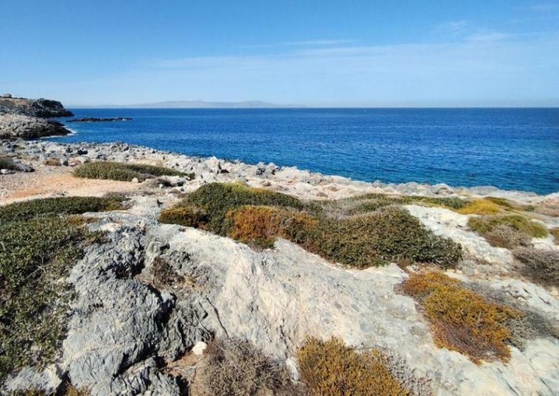 Stavros Kreta, Stavros: Grundstücke direkt am Meer mit Blick auf den Sonnenuntergang zu verkaufen Grundstück kaufen